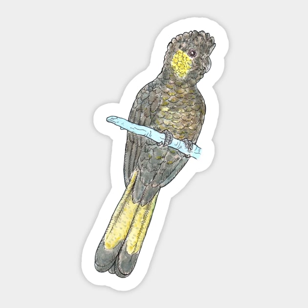 Yellow-tailed Black-cockatoo Sticker by bangart